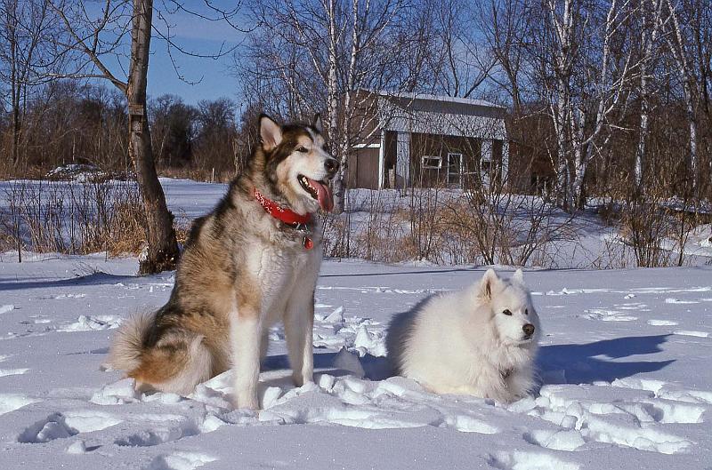 1995-12 Taka Kobuk Isanti 01.jpg
